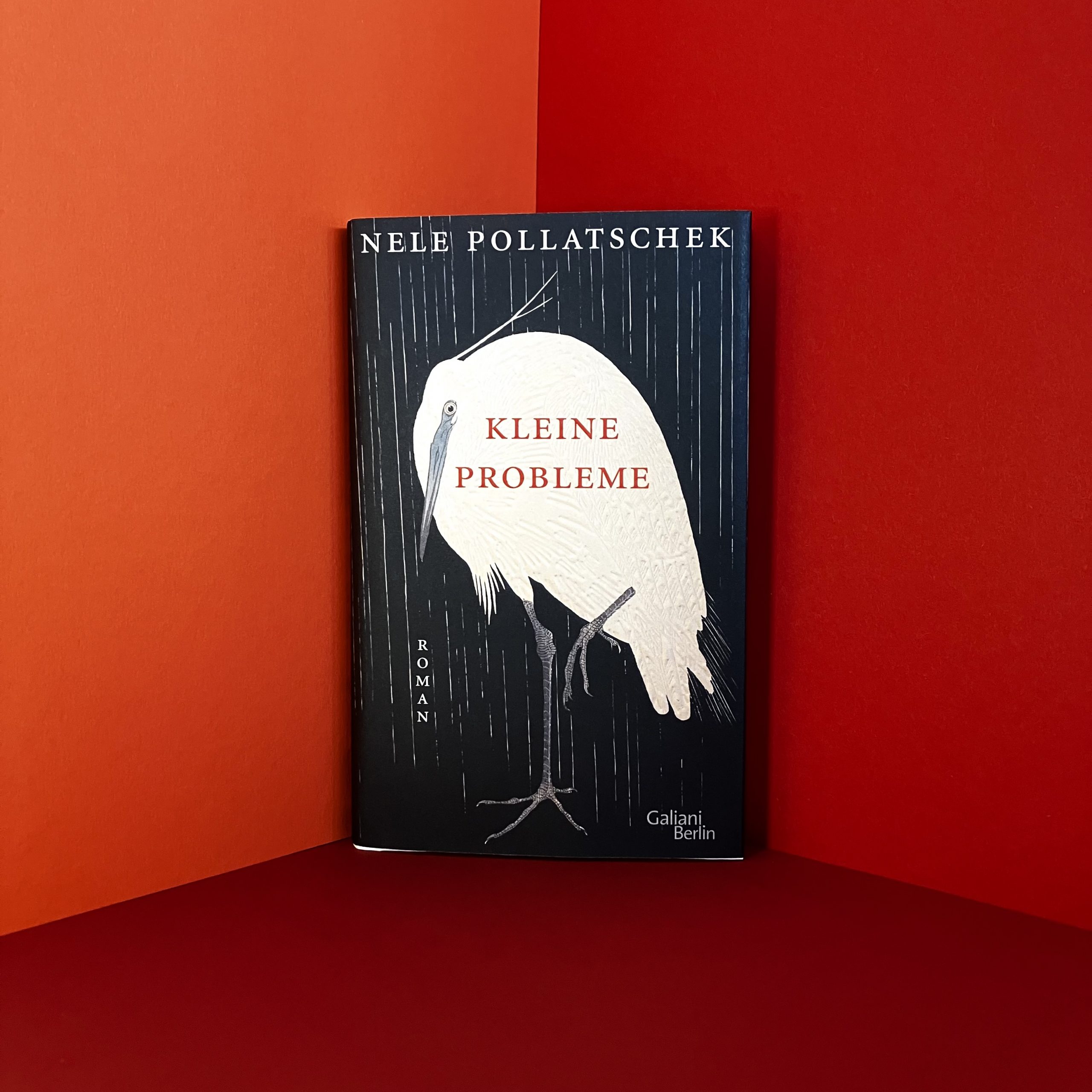 KLEINE PROBLEME von Nele Pollatschek
