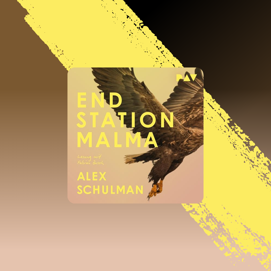 ENDSTATION MALMA von Alex Schulman
