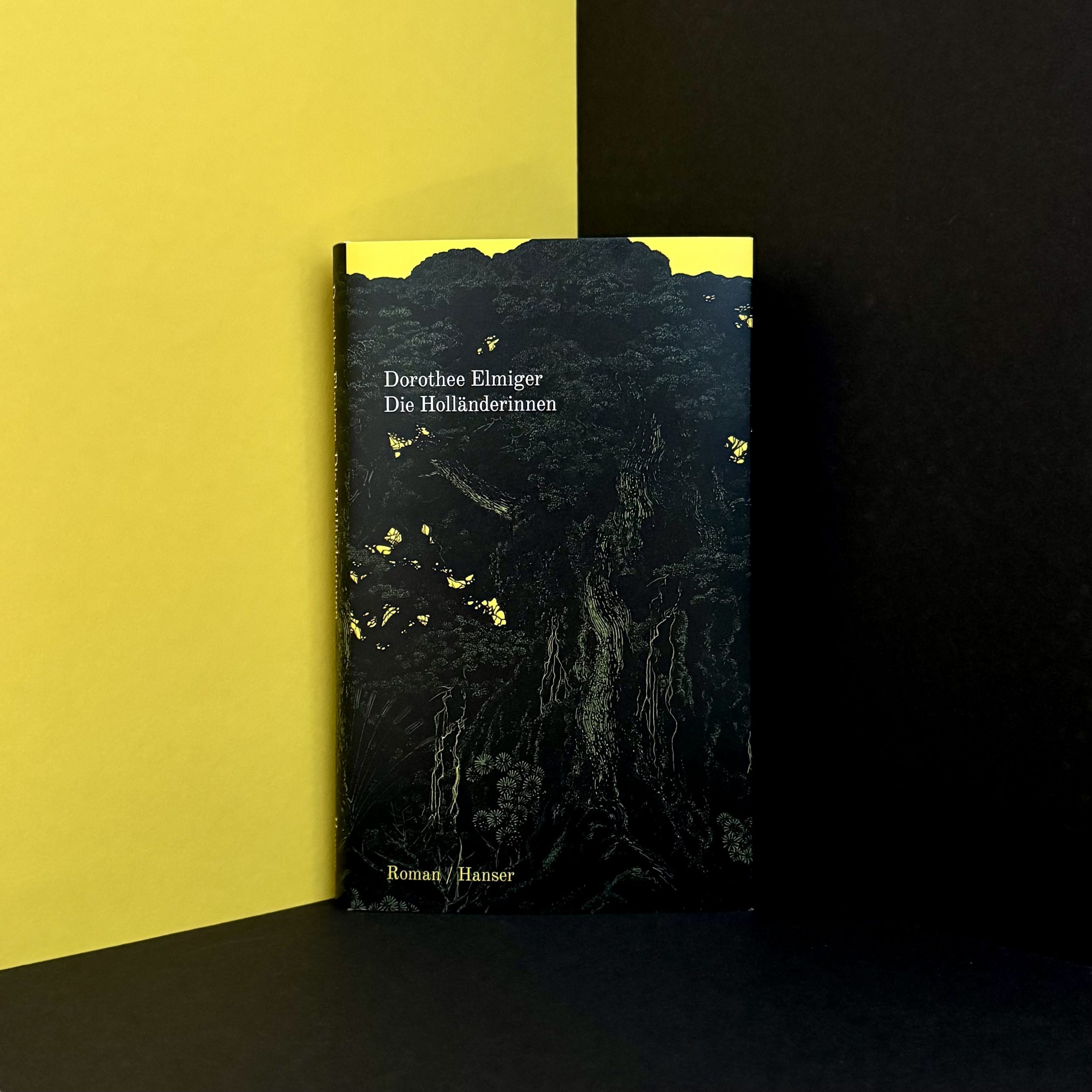 Die Holländerinnen von Dorothee Elmiger