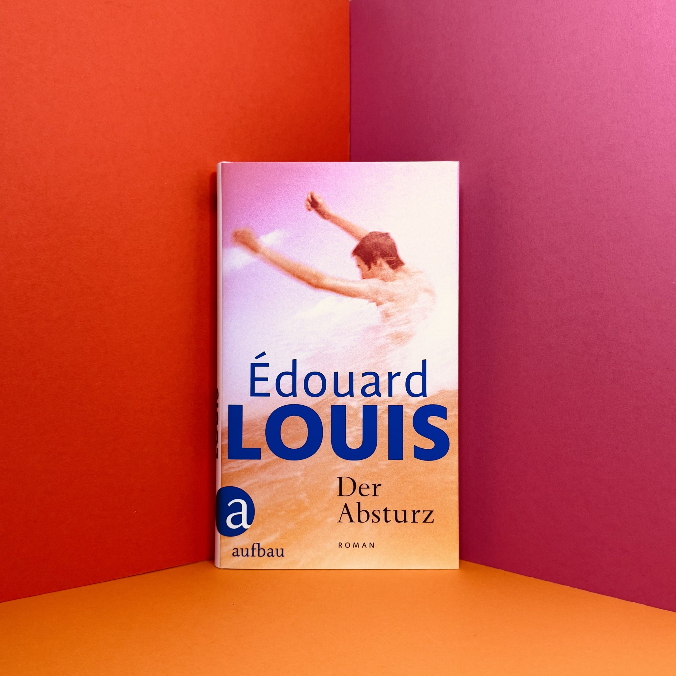 Der Absturz von Édouard Louis