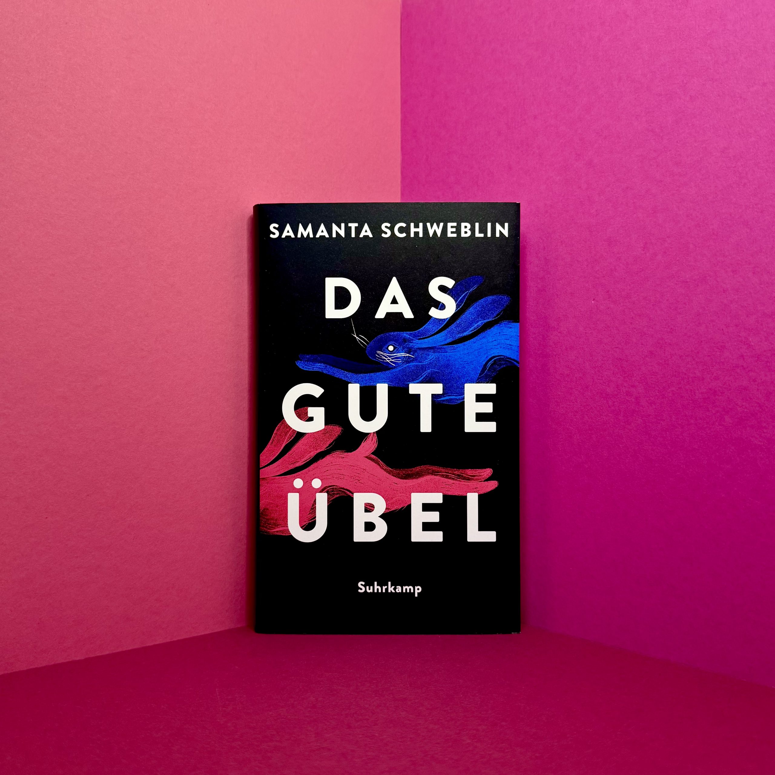 Das gute Übel Samanta Schweblin Rezension