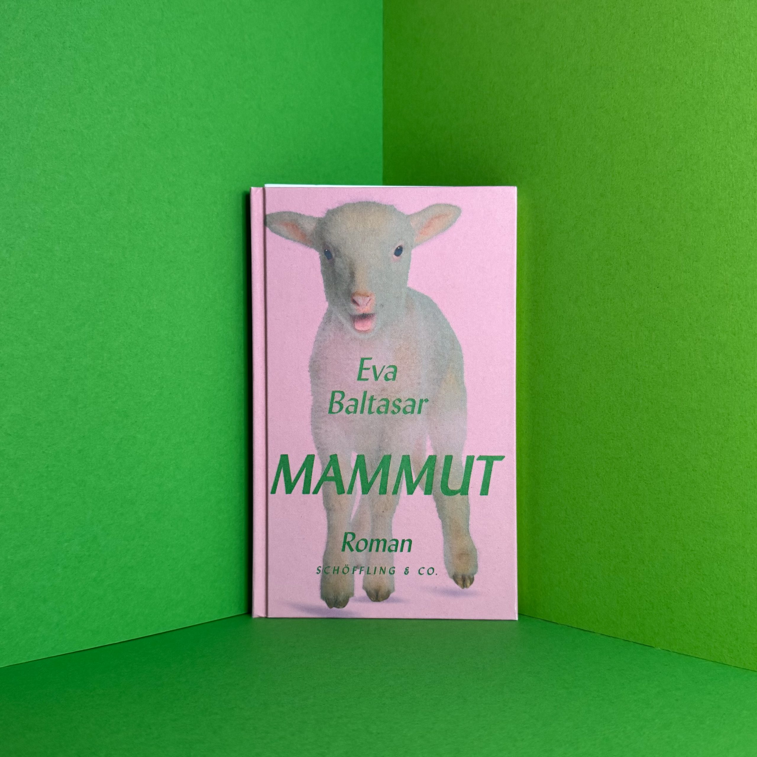Mammut Eva Baltasar Rezension
