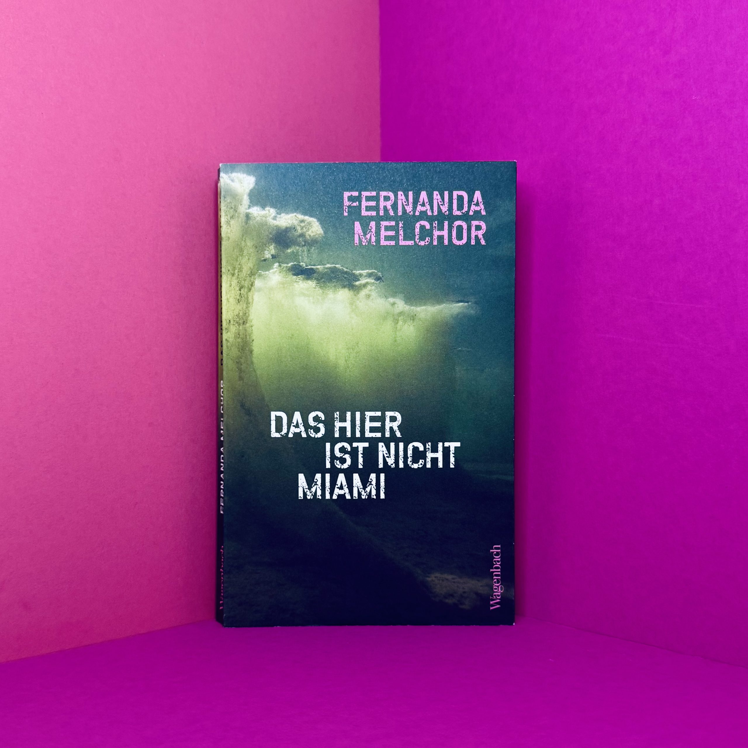 Das hier ist nicht Miami Fernanda Melchor Rezension