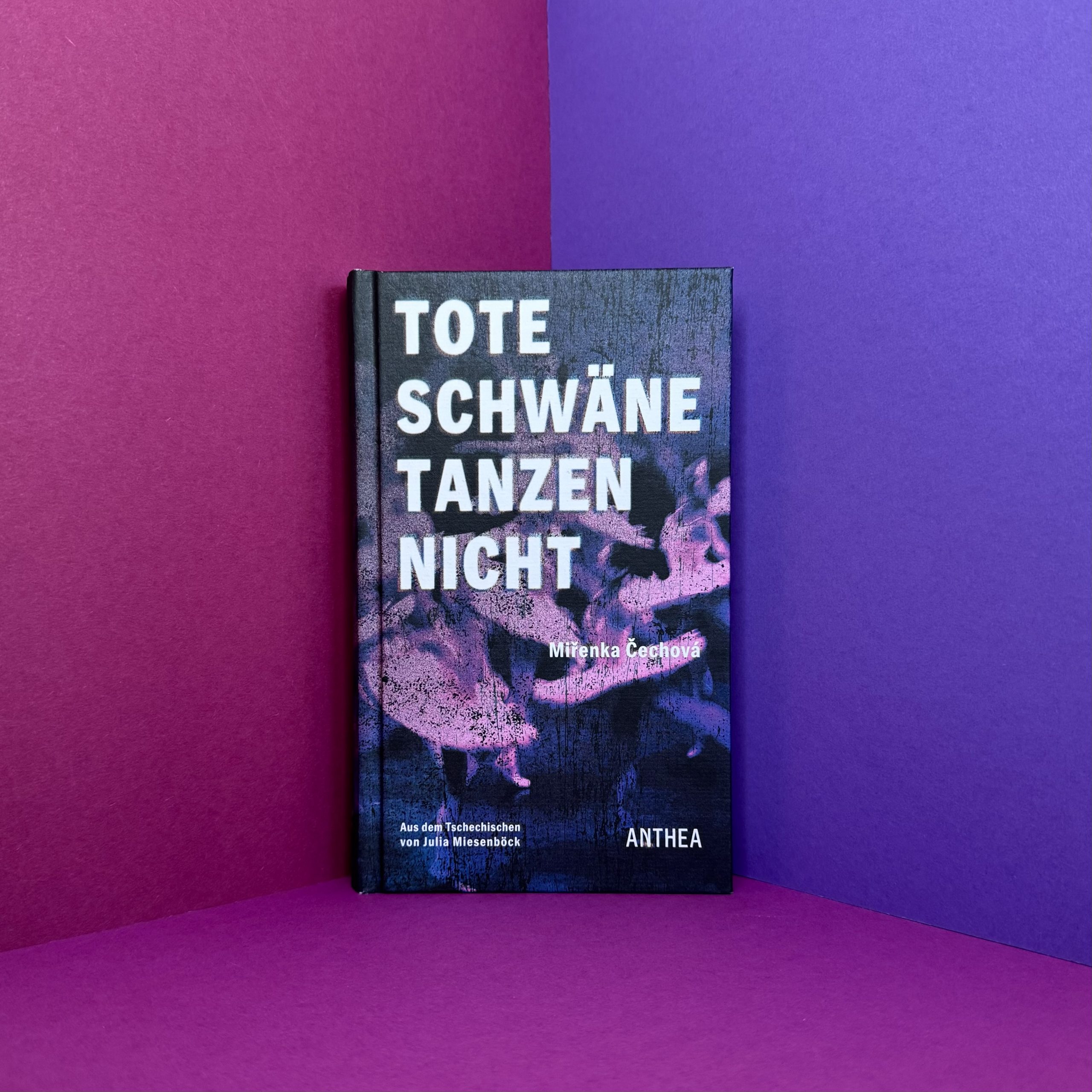 Tote Schwäne tanzen nicht von Miřenka Čechová Rezension