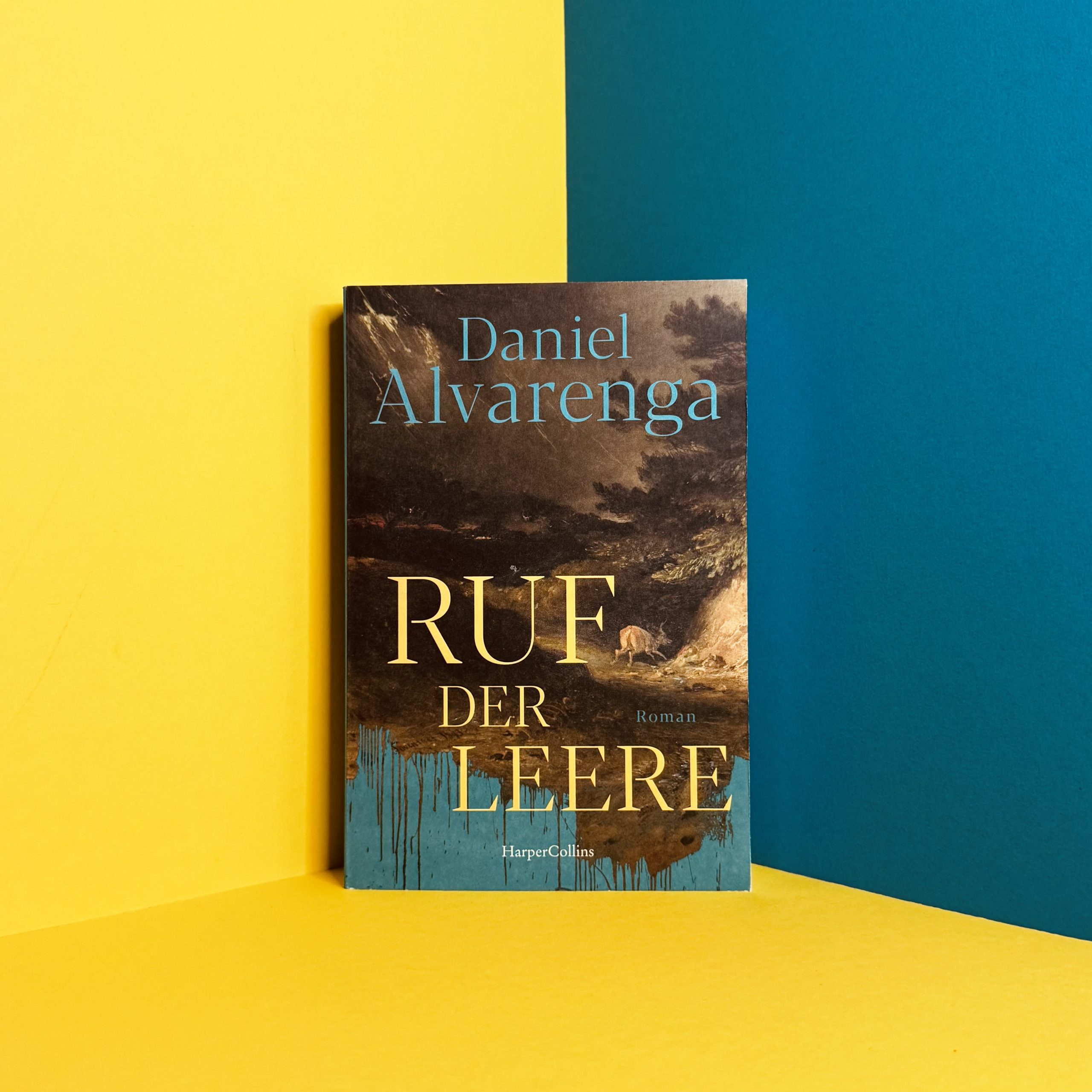 Daniel Alvarenga Ruf der Leere Rezension