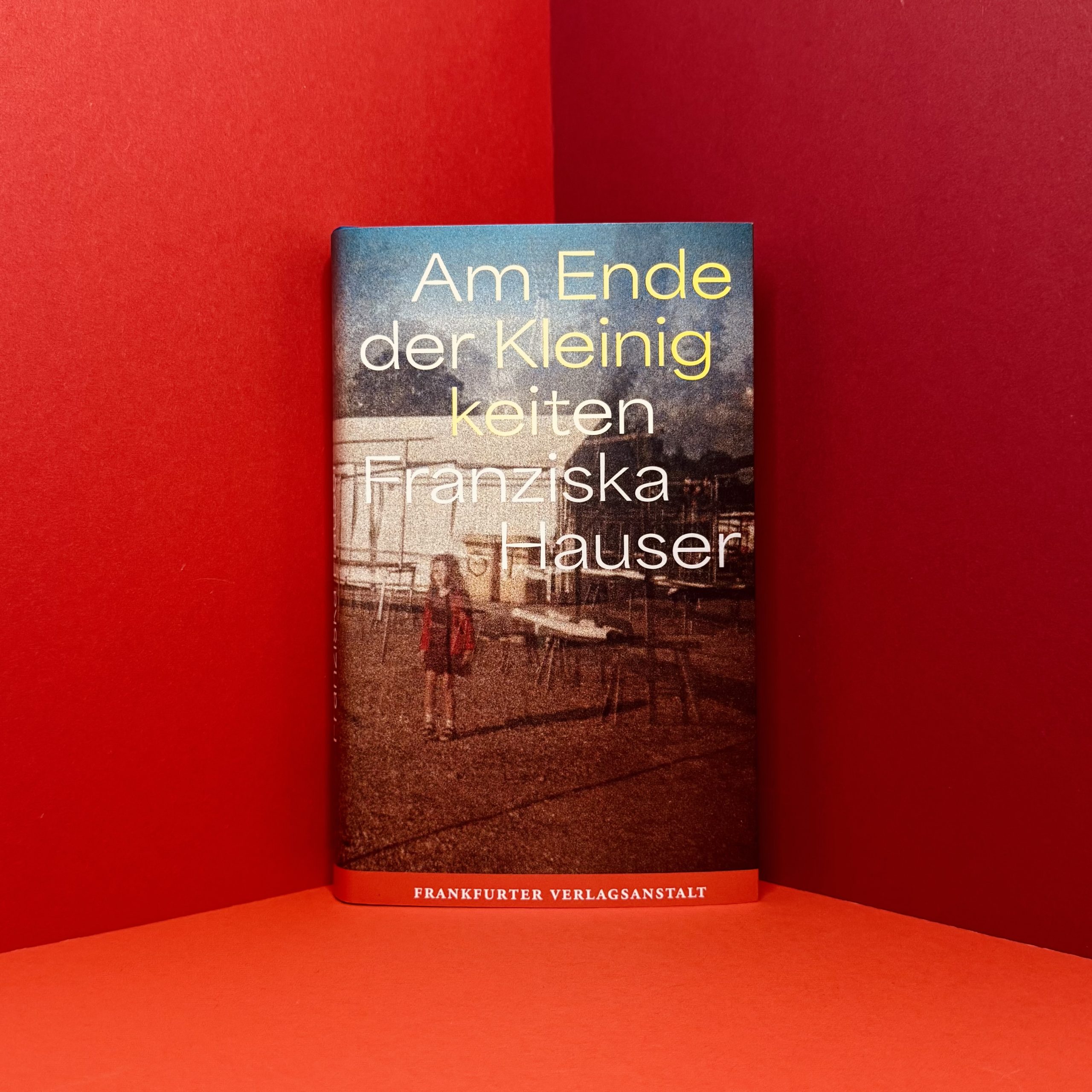 Am Ende der Kleinigkeiten von Franziska Hauser