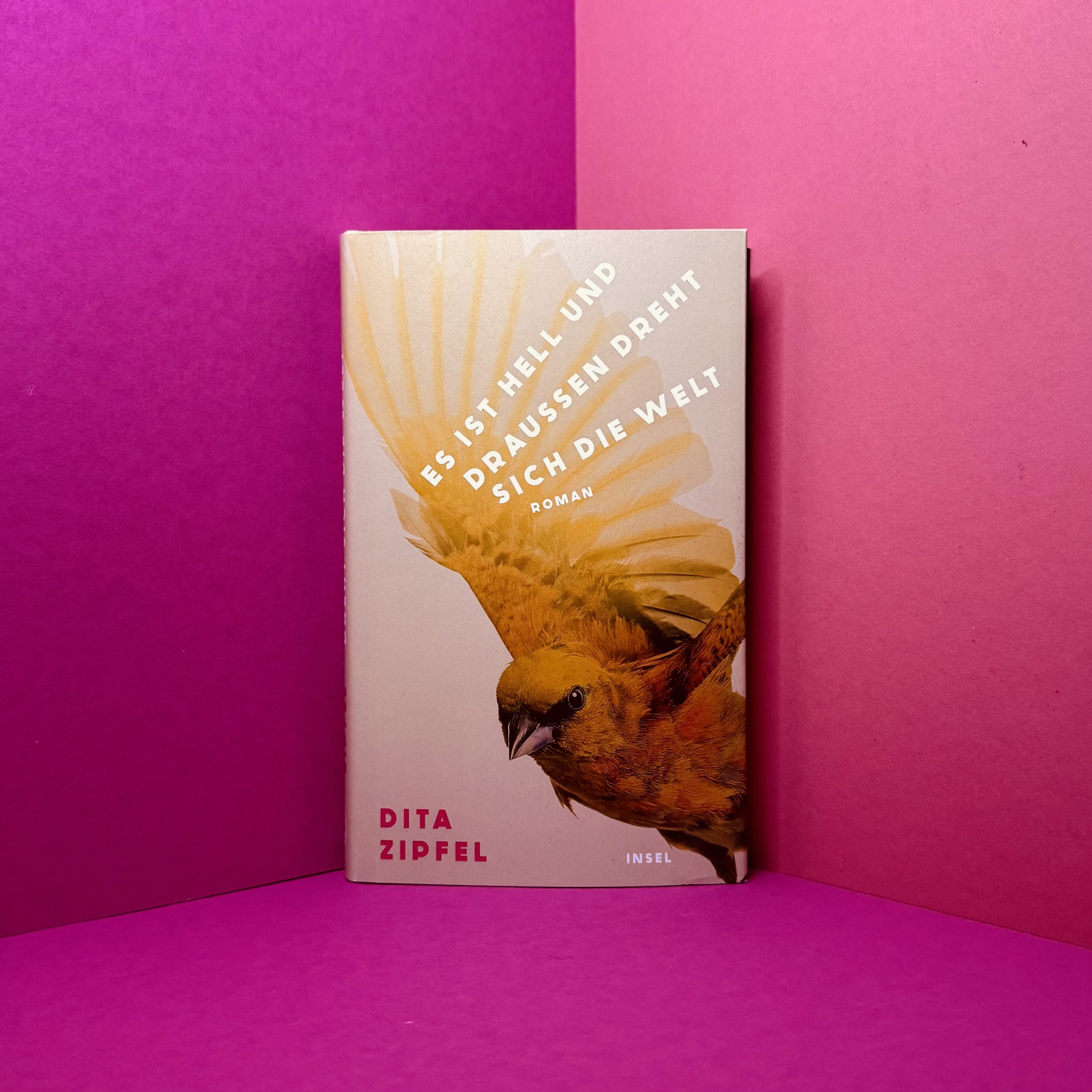 Es ist hell und draußen dreht sich die Welt Dita Zipfel