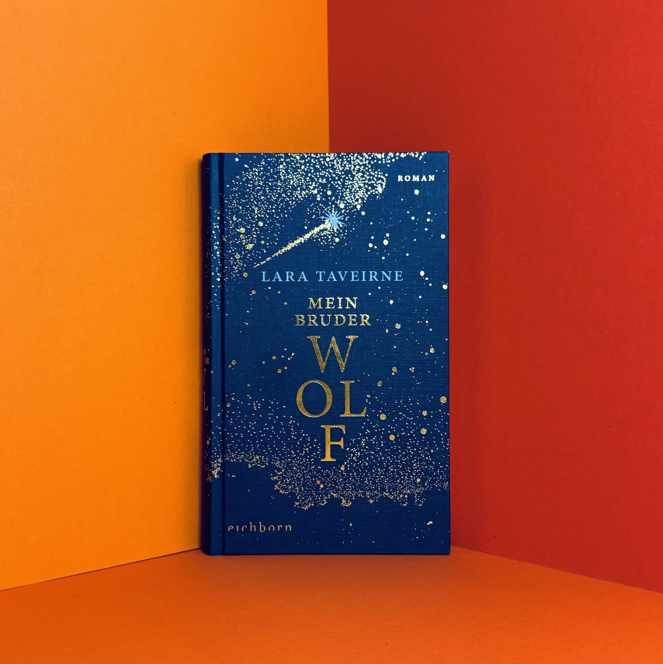 Mein Bruder Wolf Lara Taveirne