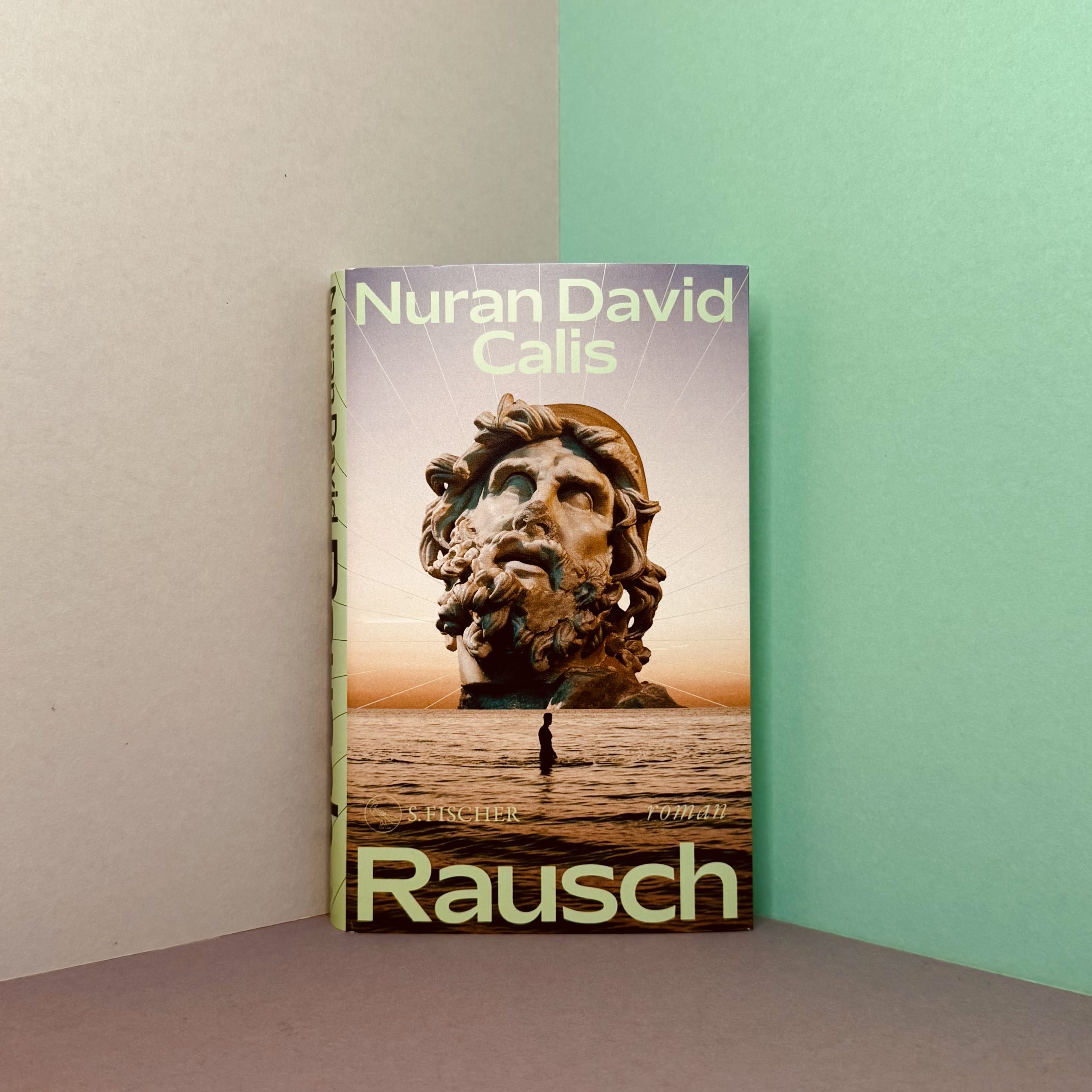 Rausch Nuran David Calis