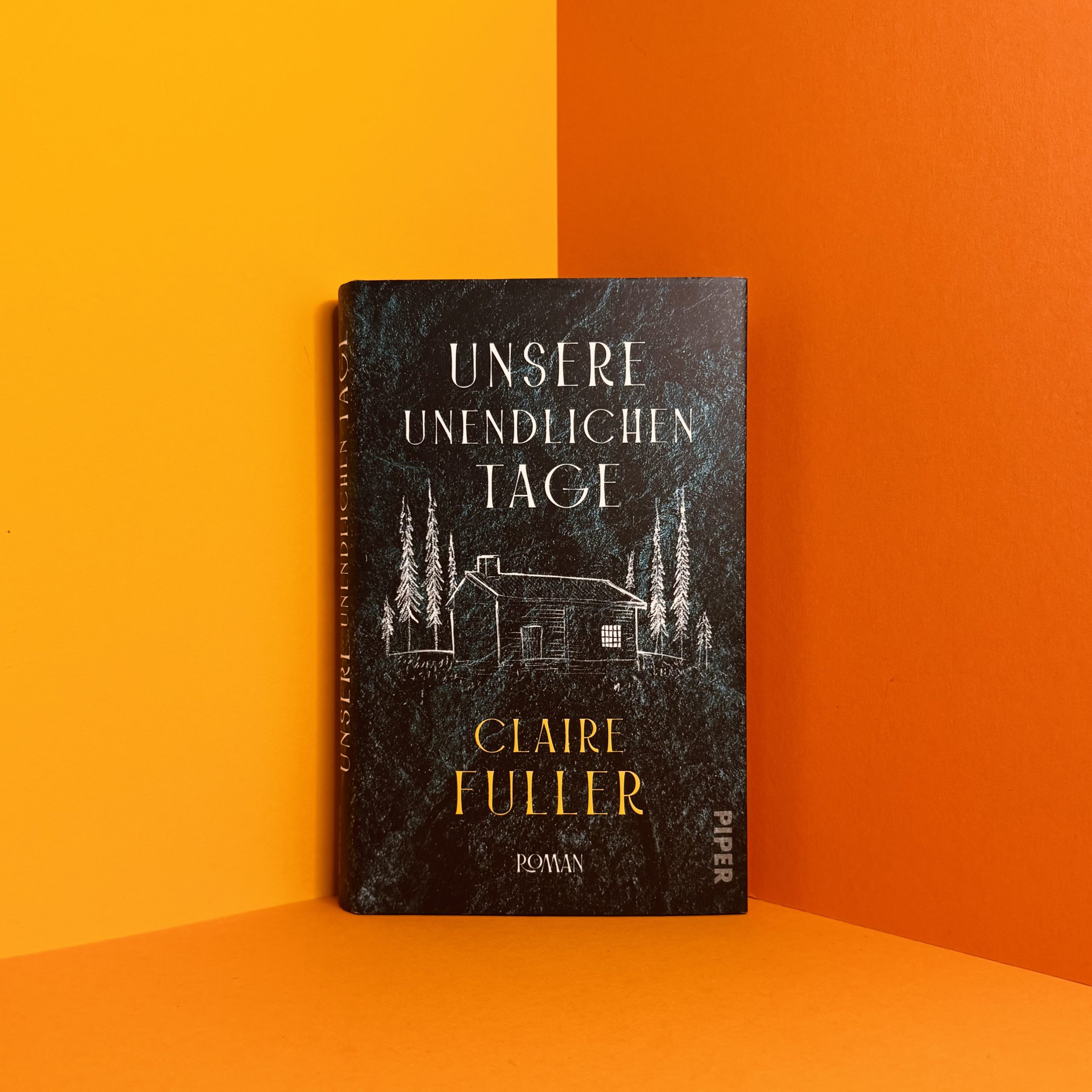 Unsere unendlichen Tage Claire Fuller
