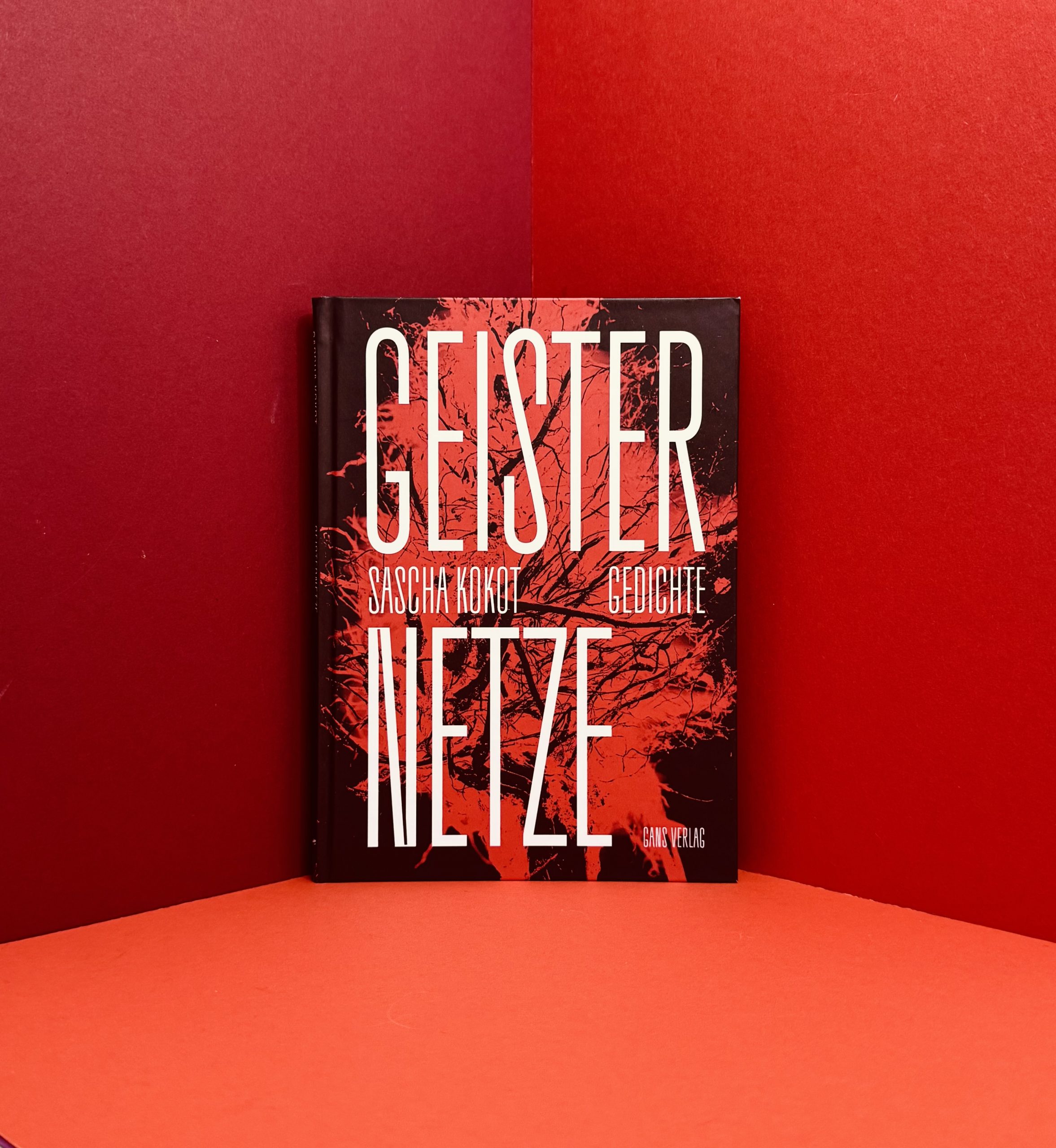 Geisternetze Sascha Kokot