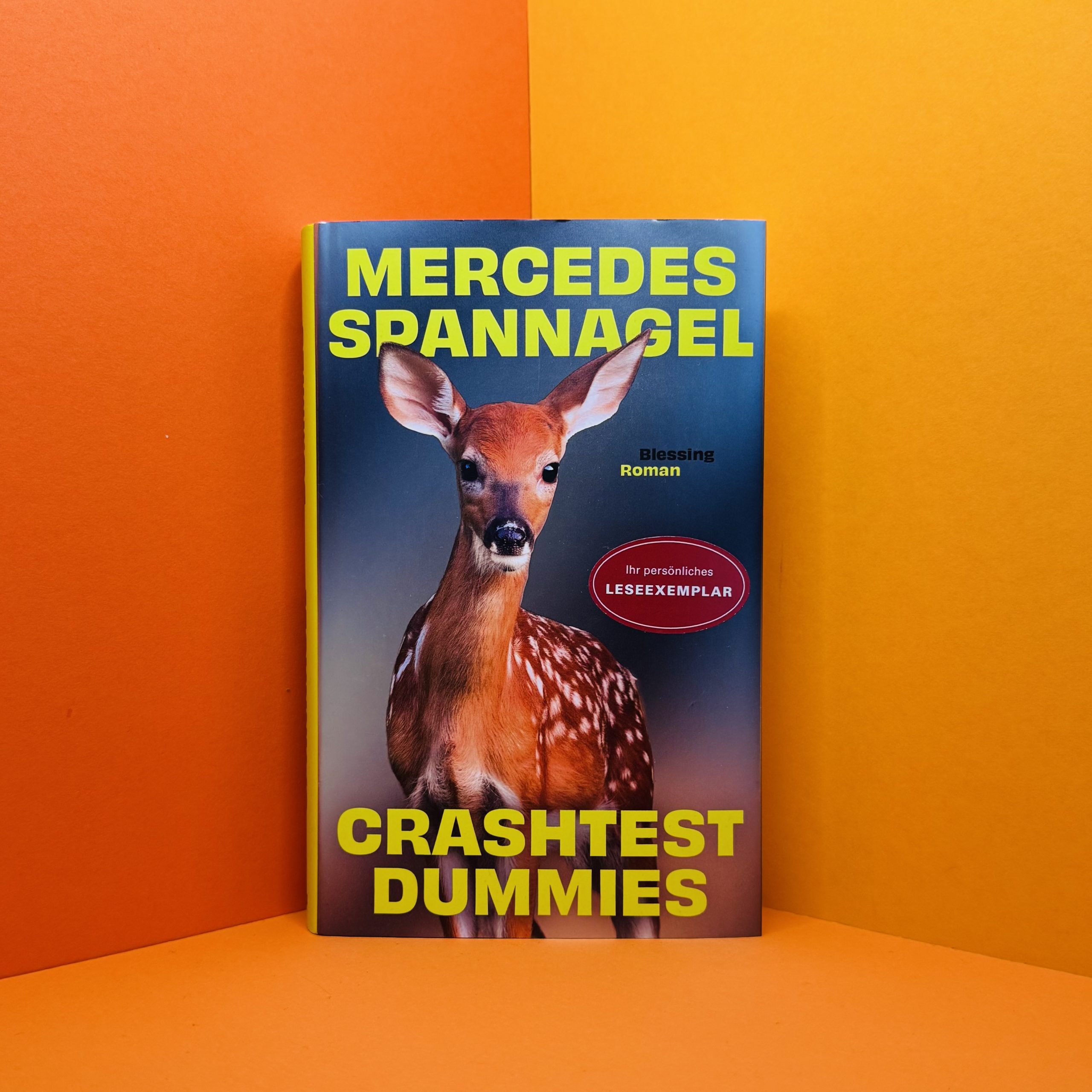 Crashtest Dummies Mercedes Spannagel
