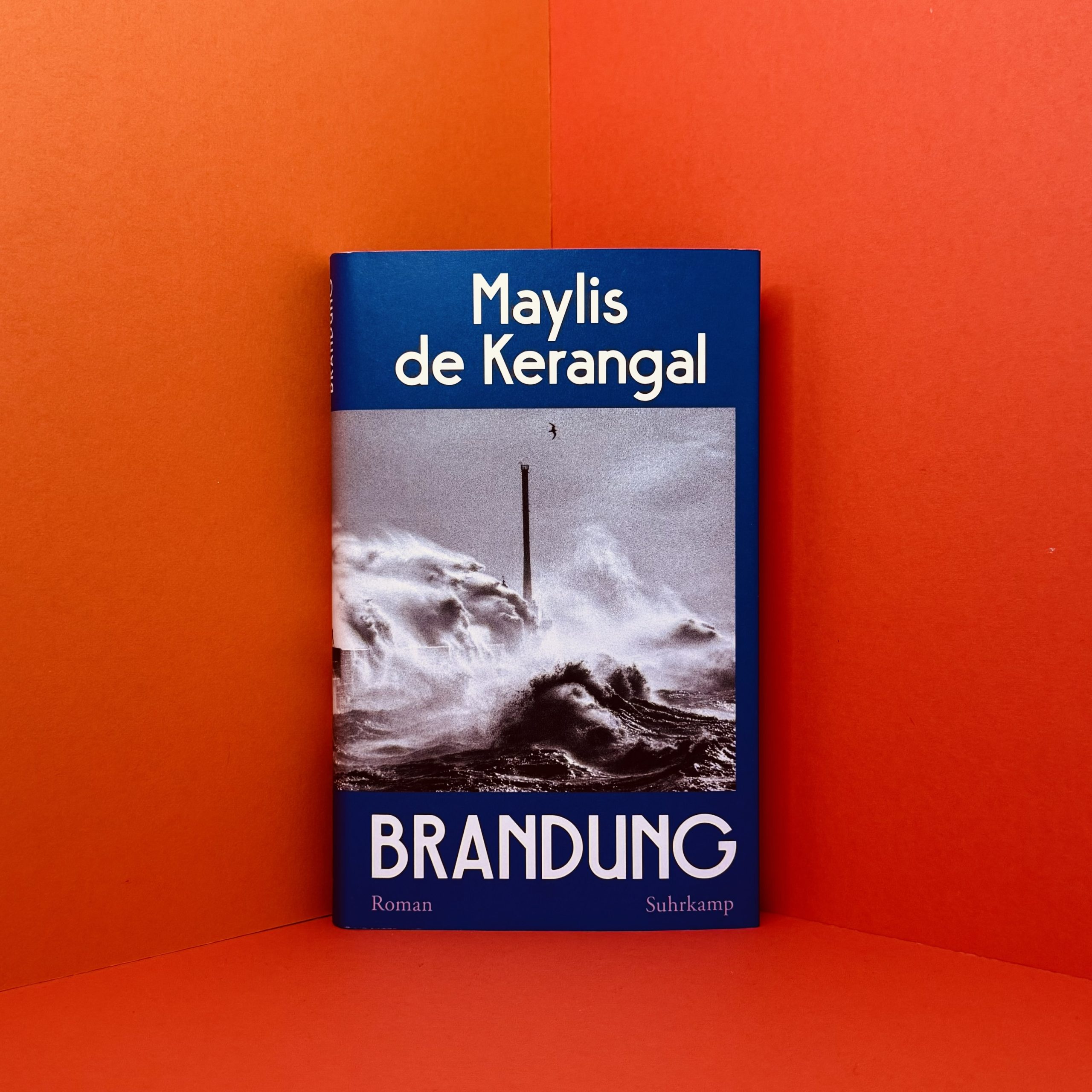 Brandung Maylis de Kerangal
