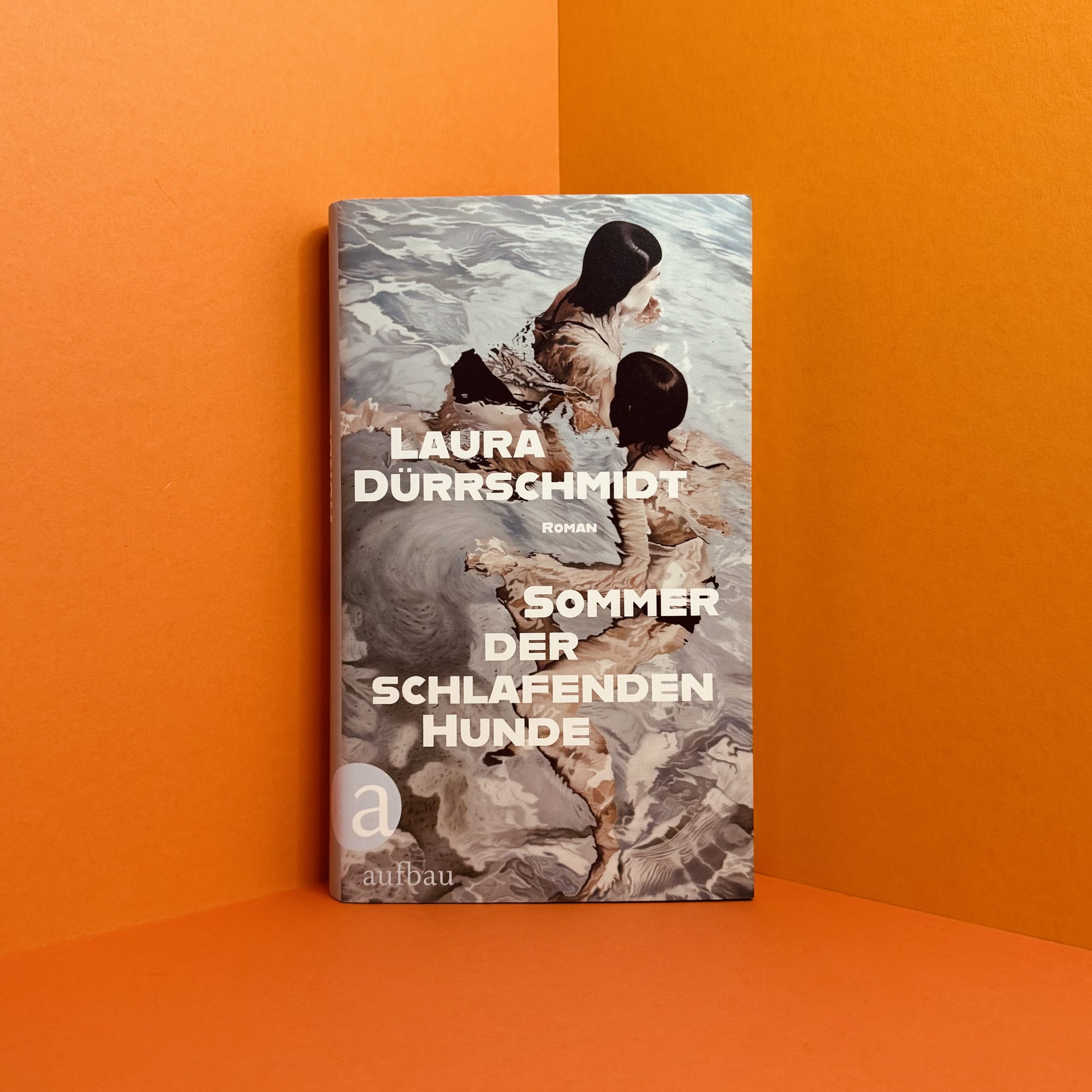 Sommer der schlafenden Hunde Laura Dürrschmidt