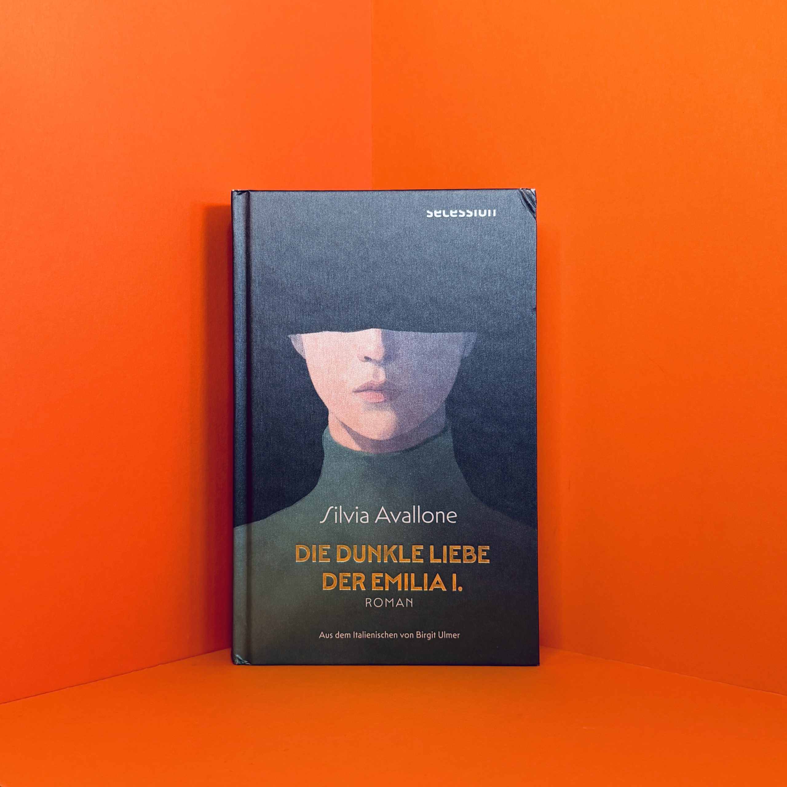 Die dunkle Liebe der Emilia I. Silvia Avallone