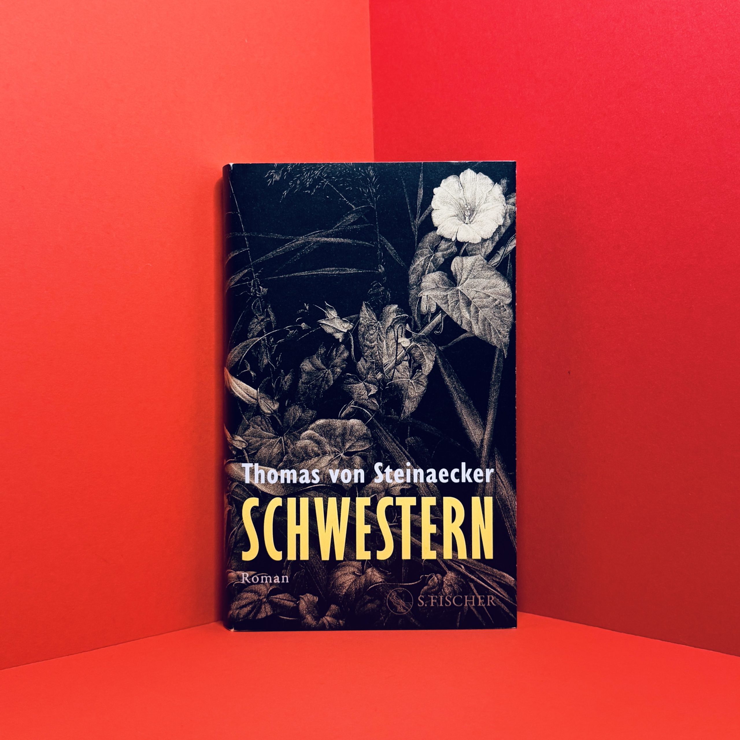 Schwestern von Thomas von Steinaecker