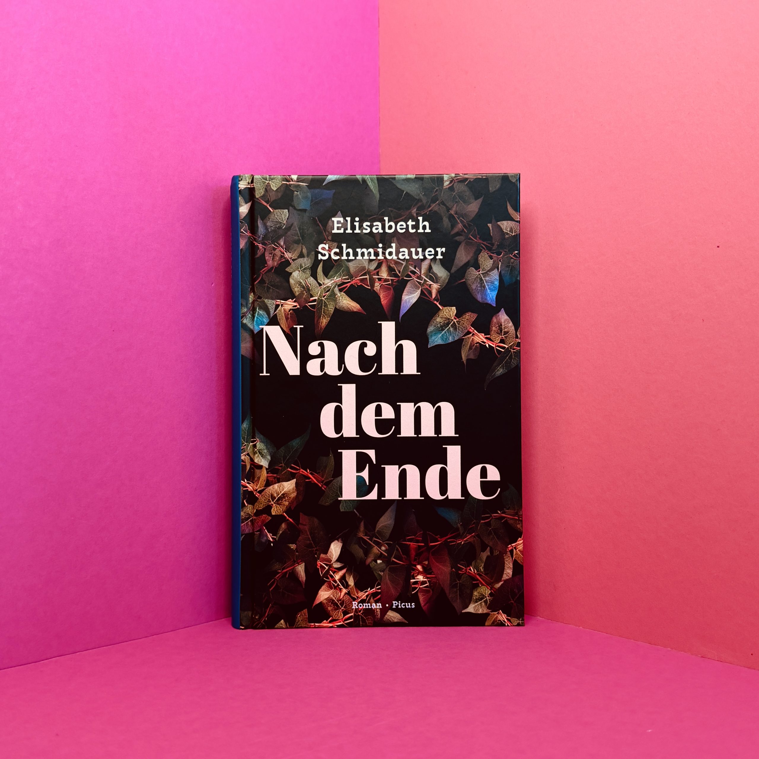 Nach dem Ende Elisabeth Schmidauer